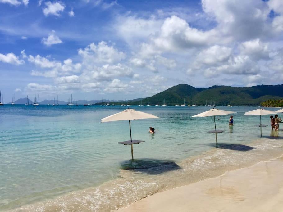 Hamo Cosy Piscine Proche Plage Sainte-Anne Exteriér fotografie